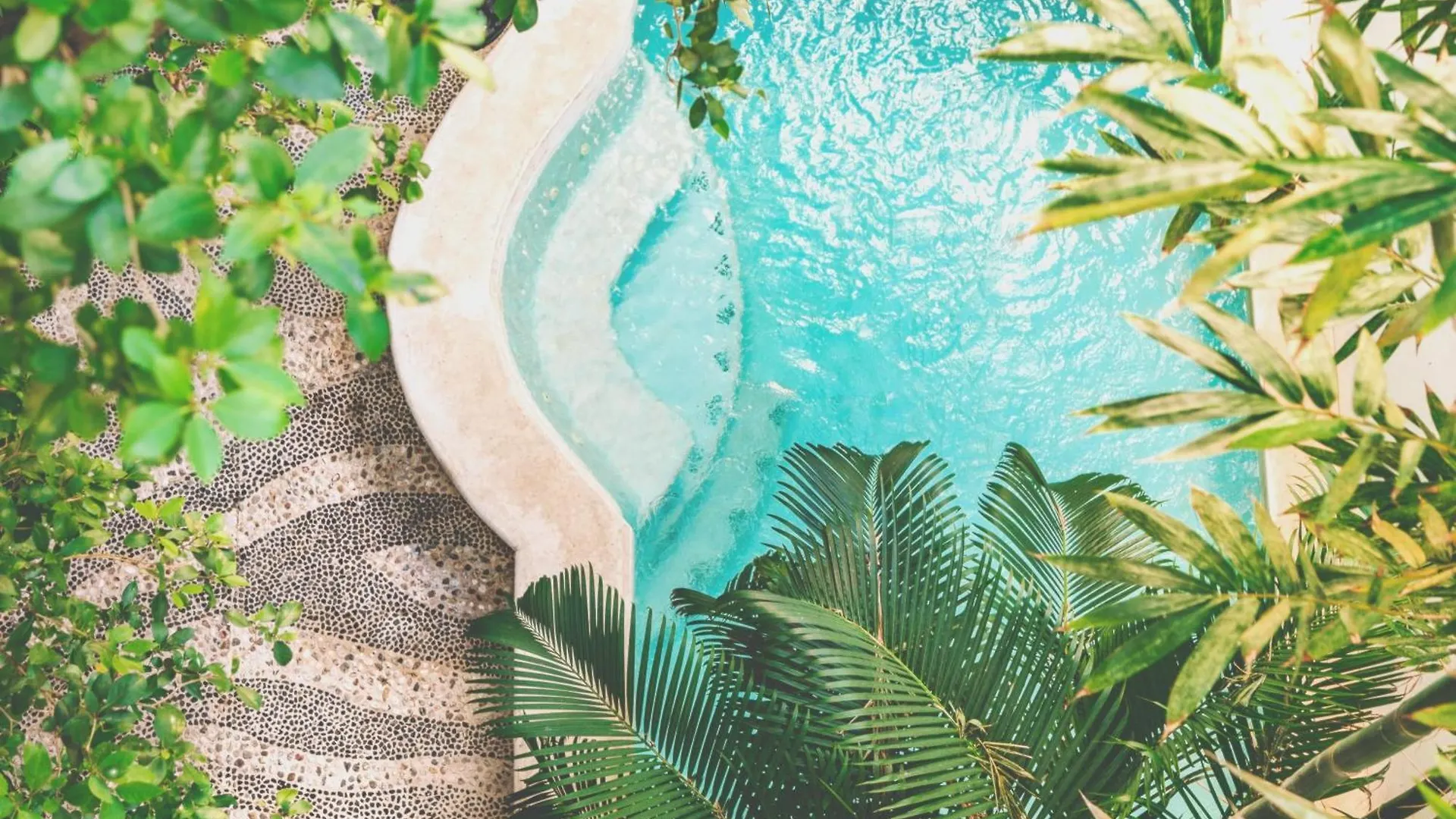 Plantation House - Why Stay Elsewhere Playa del Carmen Apartment