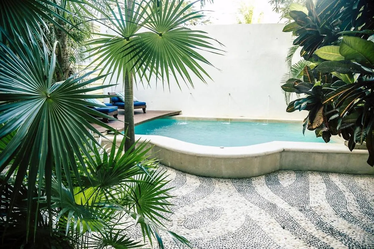 Plantation House - Why Stay Elsewhere Playa del Carmen Apartment